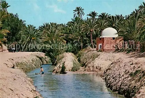 AK / Ansichtskarte Tozeur Riviere et marabout dans l oasis Tozeur