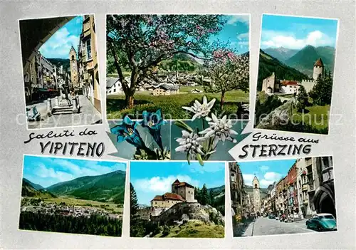AK / Ansichtskarte Sterzing_Suedtirol Teilansichten Baumbluete Blauer Enzian Edelweiss Landschaftspanorama Schloss Alpen Sterzing Suedtirol
