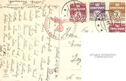 AK / Ansichtskarte Blumen Hortensie  