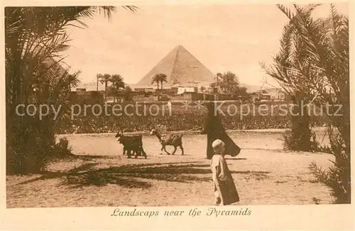 AK / Ansichtskarte Cairo_Egypt Landschaft Pyramiden Cairo Egypt