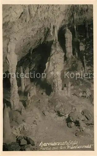 AK / Ansichtskarte H?hlen_Caves_Grottes Hermannsh?hle M?rchenwald R?beland  