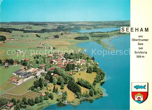AK / Ansichtskarte Seeham_Obertrumersee Fliegeraufnahme 