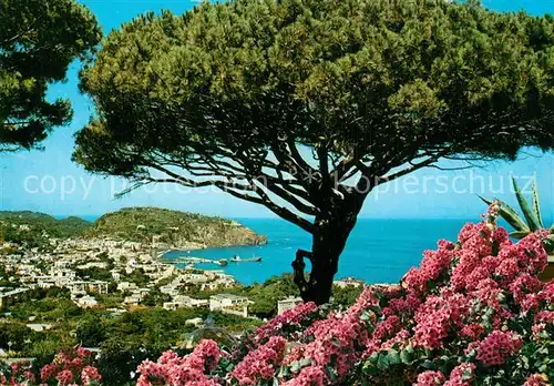 AK / Ansichtskarte Isola_d_Ischia Veduta panoramica da Villa Parodi Isola_d_Ischia