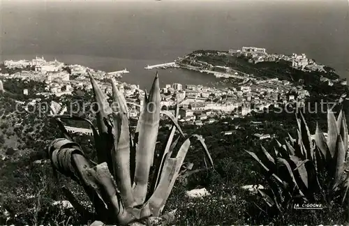 AK / Ansichtskarte Monaco Panorama La Turbie Monaco