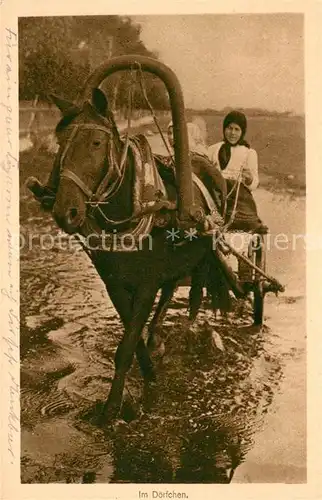 AK / Ansichtskarte Pferde  