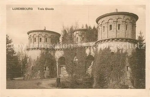 AK / Ansichtskarte Luxembourg_Luxemburg Trois Glands Luxembourg Luxemburg