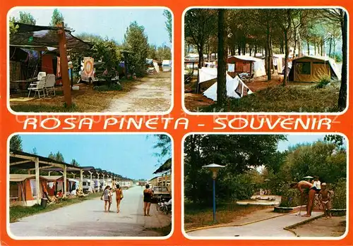 AK / Ansichtskarte Rosolina_Mare Villaggio Turistico Rosa Pineta Minigolf Rosolina Mare