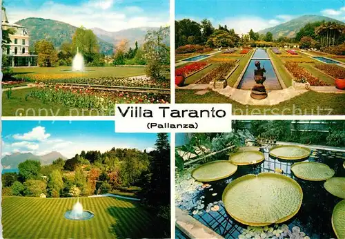 AK / Ansichtskarte Pallanza Giardini di Villa Tarantio Lago Maggiore Pallanza