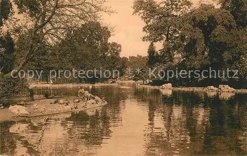 AK / Ansichtskarte Anvers_Antwerpen Jardin Zoologique Grand Bassin Anvers Antwerpen