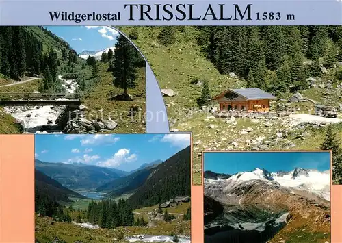 AK / Ansichtskarte Aschau_Zillertal Wildgerlostal Trisslalm Panorama Nationalpark Hohe Tauern Aschau_Zillertal
