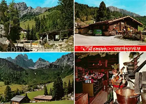 AK / Ansichtskarte Filzmoos Oberhofalm am Fusse der Bischofsmuetze Landschaftspanorama Dachsteingebirge Filzmoos