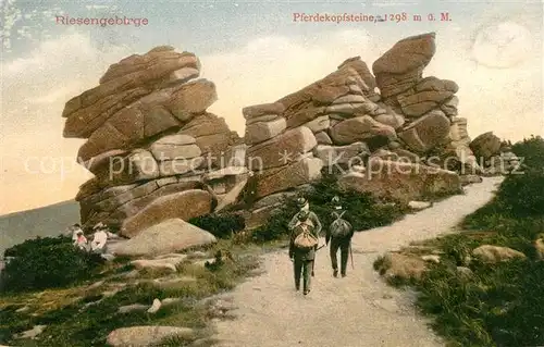 AK / Ansichtskarte Wandern Riesengebirge Pferdekopfsteine  