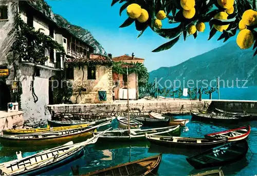 AK / Ansichtskarte Limone_Lago_di_Garda Il Porto Limone_Lago_di_Garda