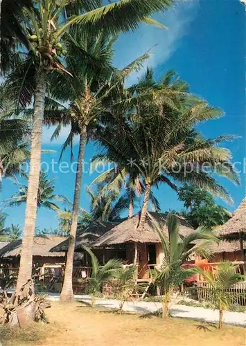 AK / Ansichtskarte Boracay Palm trees growing through cottages Boracay