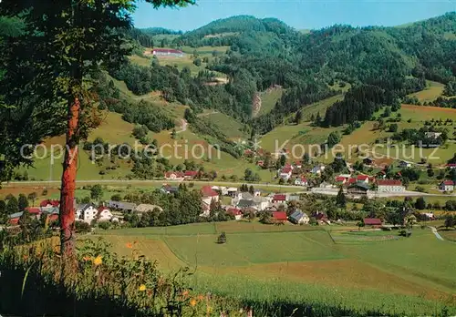 AK / Ansichtskarte Lehenrotte_Tuernitz Panorama Lehenrotte Tuernitz