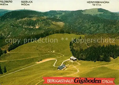 AK / Ansichtskarte Geschwend_Todtnau Berggasthaus Pension Gisiboden Schwarzwald Fliegeraufnahme Geschwend Todtnau