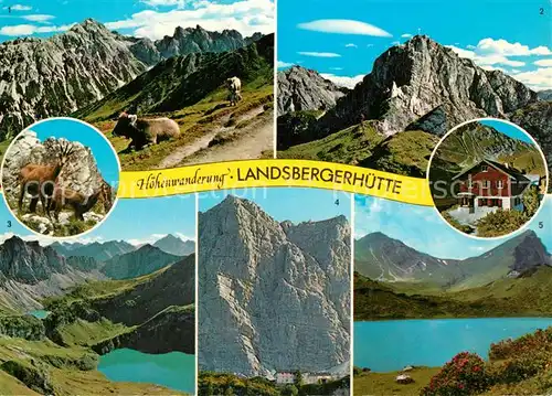 AK / Ansichtskarte Tannheim_Tirol Hoehenwanderung Tannheimer Berge Landsbergerhuette Gemsen Almvieh Bergsee Gebirgspanorama Tannheim Tirol