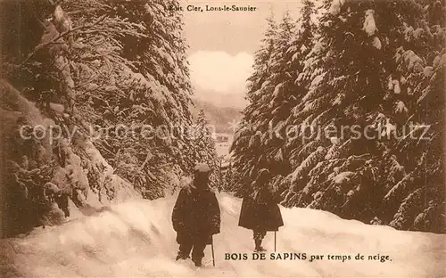 AK / Ansichtskarte Cier de Luchon Bois de Sapins Cier de Luchon