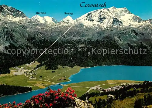 AK / Ansichtskarte Silvaplana_GR Sulej mit Luftseilbahn Piz Corvatsch und Berninagruppe Silvaplana_GR