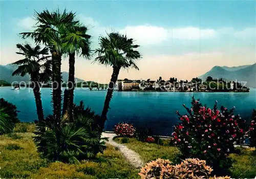 AK / Ansichtskarte Isola_Bella Panorama Isola_Bella