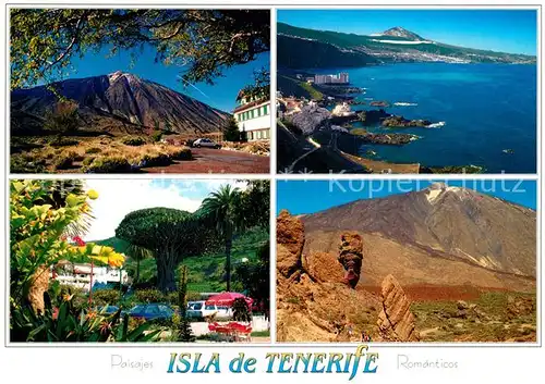 AK / Ansichtskarte Tenerife Canadas del Teide Costa Norte Drago Milenario  Tenerife