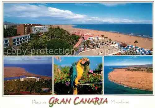 AK / Ansichtskarte Gran_Canaria Fliegeraufnahme Playa de las Palomas Gran Canaria