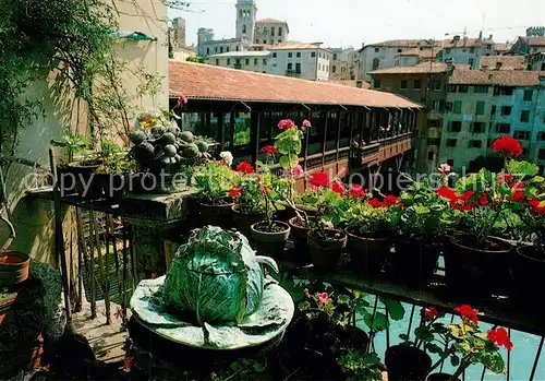 AK / Ansichtskarte Bassano_del_Grappa Ponte Vecchio sul Brenta Castelle degli Ezzelini Bassano_Del_Grappa