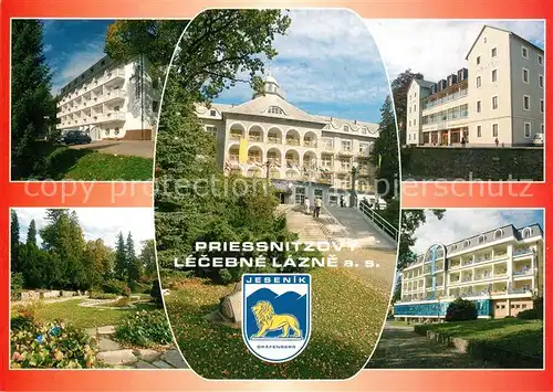 AK / Ansichtskarte Jesenik Priessnitzovy lecebne lazne Hotel Park Jesenik