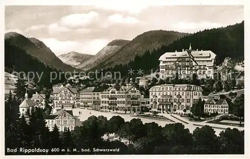 AK / Ansichtskarte Bad_Rippoldsau_Schwarzwald Panorama Bad_Rippoldsau