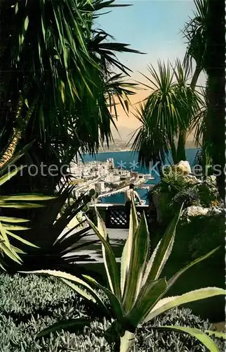 AK / Ansichtskarte Monte Carlo Vegetation Tropical vue sur le port de la Principaute Monte Carlo