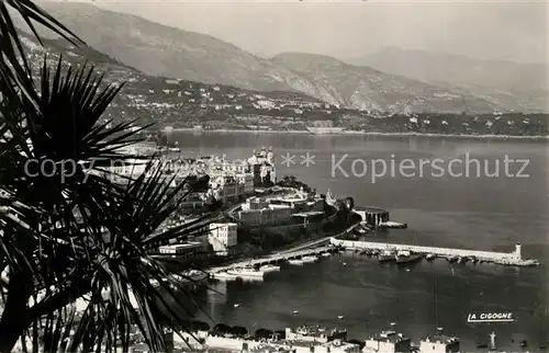 AK / Ansichtskarte Monte Carlo Vu du Jardin Exotique Port de la Principaute Monte Carlo