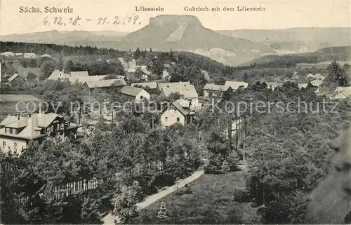 AK / Ansichtskarte Gohrisch Panorama mit Blick zum Lilienstein Tafelberg Elbsandsteingebirge Gohrisch