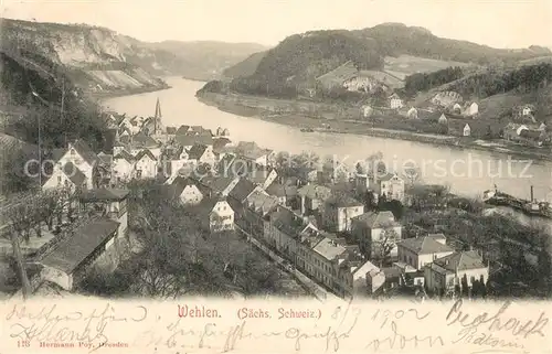AK / Ansichtskarte Wehlen_Sachsen Panorama Wehlen_Sachsen