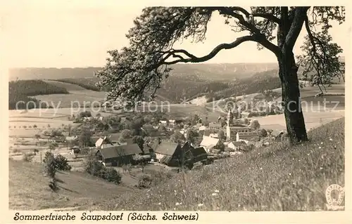 AK / Ansichtskarte Saupsdorf Panorama Saupsdorf