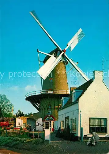 AK / Ansichtskarte Sluis_Netherlands Molen Windmuehle Sluis_Netherlands