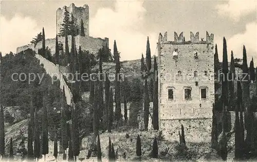 AK / Ansichtskarte Arco_Trentino  Arco Trentino