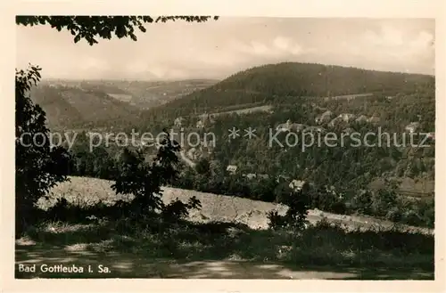 AK / Ansichtskarte Bad_Gottleuba Berggiesshuebel Panorama Bad