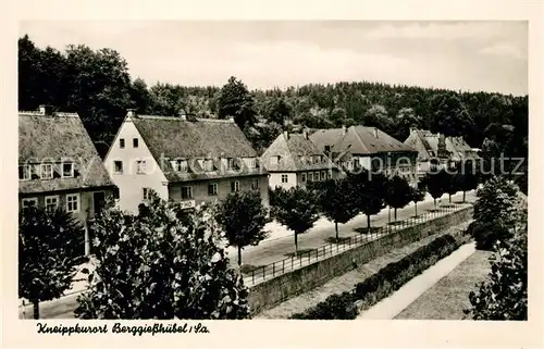 AK / Ansichtskarte Berggiesshuebel Teilansicht Berggiesshuebel