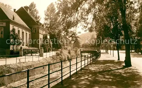 AK / Ansichtskarte Berggiesshuebel Clubhaus und Allee Berggiesshuebel