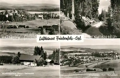 AK / Ansichtskarte Friedenfels Schlossberg Bergstrasse im Steinwald Marktredwitzer Haus Panorama Friedenfels