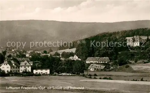 AK / Ansichtskarte Friedenfels mit Schloss und Steinwald Friedenfels