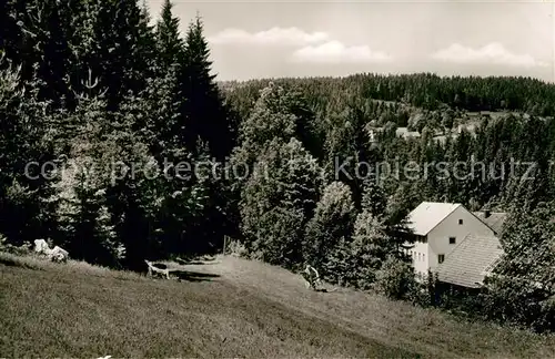 AK / Ansichtskarte Grossrehmuehle Gasthof zum Rehbachtal Grossrehmuehle