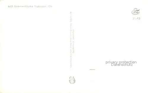 AK / Ansichtskarte Trebgast Panorama Trebgast