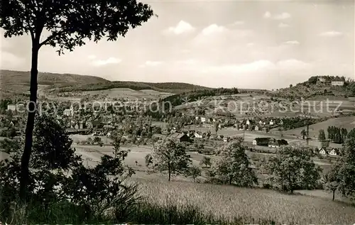 AK / Ansichtskarte Reichelsheim_Odenwald Panorama Reichelsheim Odenwald