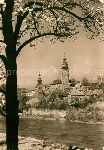AK / Ansichtskarte Cesky_Krumlov Motiv im Fruehling Baumbluete Cesky Krumlov