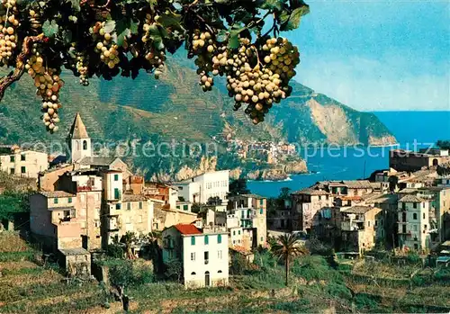 AK / Ansichtskarte Corniglia Le Cinque Terre Scorcio panoramico Corniglia