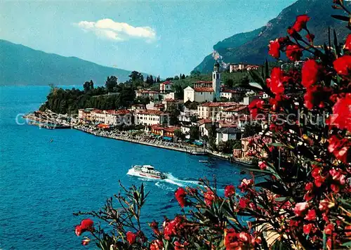 AK / Ansichtskarte Limone_sul_Garda Panorama Blumen Limone_sul_Garda