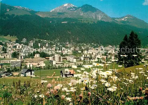 AK / Ansichtskarte Davos_Platz_GR Panorama Blumenwiesen mit Schatzalp Weissfluhjoch Weissfluhgipfel Plessuralpen Davos_Platz_GR