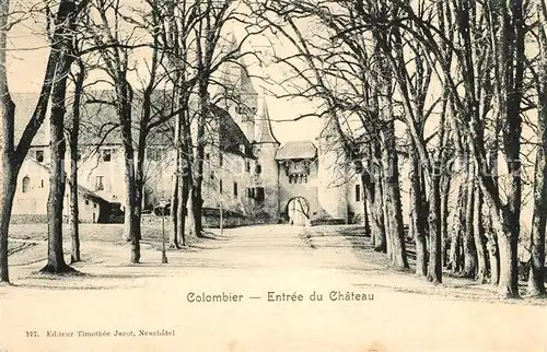 AK / Ansichtskarte Colombier_Allier Chateau Colombier Allier