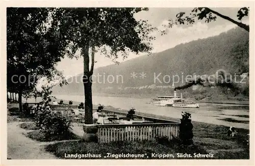 AK / Ansichtskarte Krippen_Bad_Schandau Landgasthaus Ziegelscheune Elbedampfer Krippen_Bad_Schandau